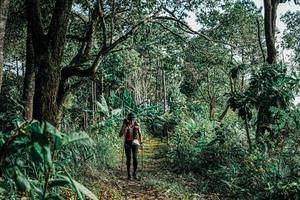 BIB: 
                            <button type="button" onclick="openModal(25660549)" class="btn btn-primary btn-sm float-right btn-popup" data-toggle="modal" data-target=".modal-high-quality">
                        <i class="fas fa-shopping-cart"></i> Add to Cart
                    </button>
                                            <button type="button" onclick="isThisMe(25660549, true)" class="btn btn-success btn-sm float-right btn-popup btn-isme hidden" data-toggle="tooltip" data-placement="bottom" title="นี่คือรูปของคุณใช่ไหม คลิกที่นี่เพื่อเอาเข้าอัลบั้ม">
                        <i class="fas fa-plus"></i> Add to album
                    </button>
                    <button type="button" onclick="isThisMe(25660549, false)" class="btn btn-warning btn-sm float-right btn-popup btn-isnotme hidden">
                        <i class="fas fa-ban"></i> Remove from album
                    </button>